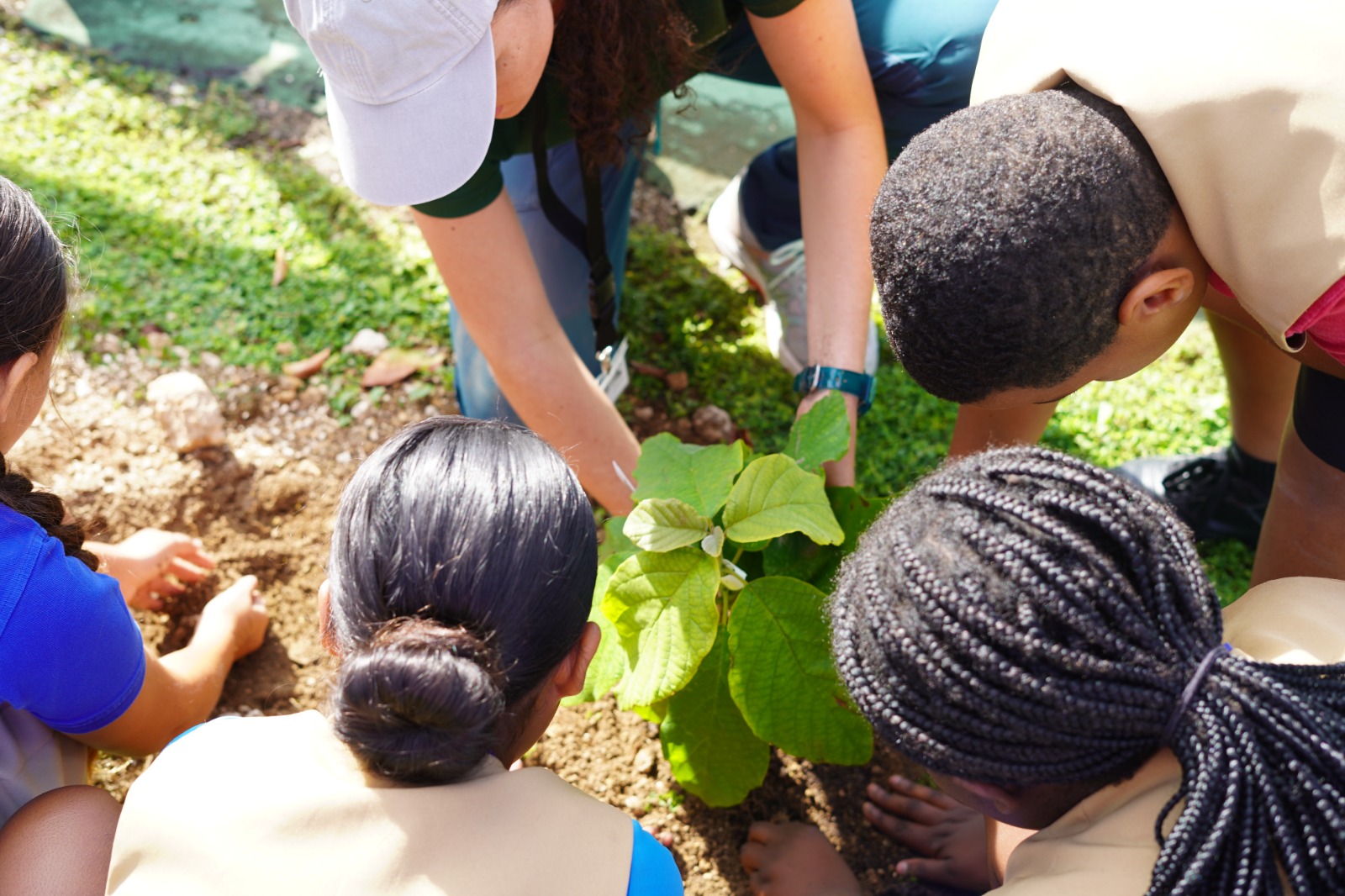 Group of students from Edna Moyle Primary huddle around a plant to observe as part of the educational resources of the national tree planting programme.