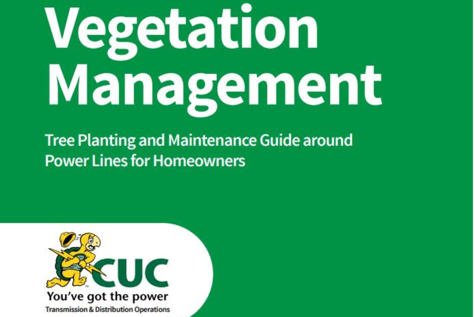 Vegetation Management Guide by Caribbean Utility Company cover image for downloadable document
