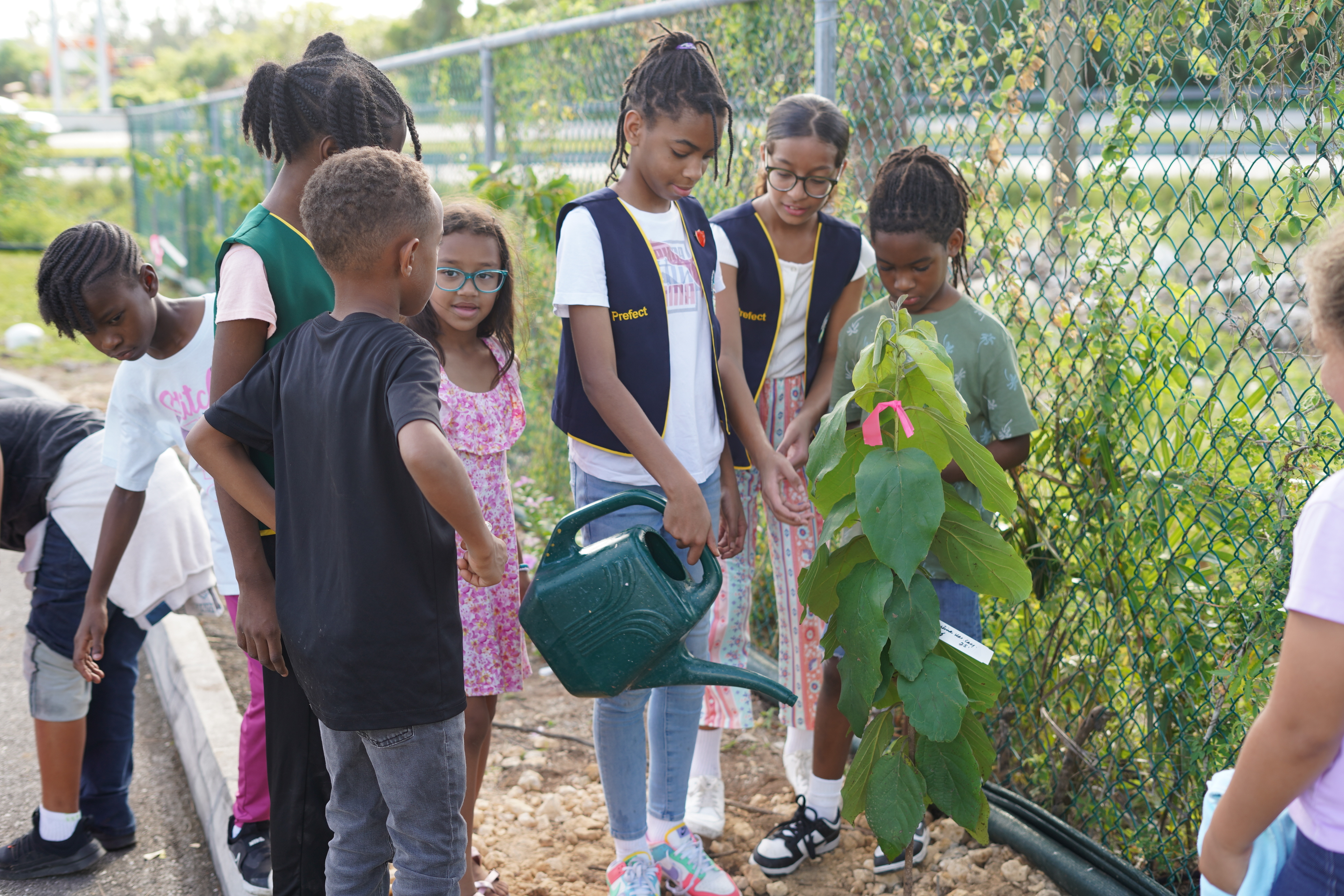 Children watering plant at Prospect Primary